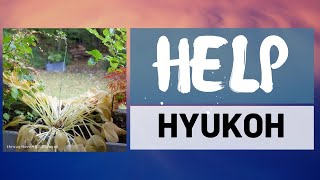 HYUKOH (혁오) - Help Lyrics