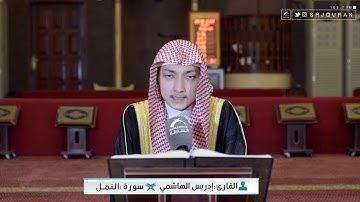 القارئ : إدريس الهاشمي | سورة النمل