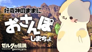 奥深いアッカレ地方編🍣いい旅・ぬい気分🍣 #18【ブレワイ・初見プレイ】#ブレスオブザワイルド #ゼルダの伝説ブレスオブザワイルド #vtuber #好奇心旺盛 #むぅたま