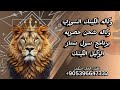 اغنيه وكاله الكينك السوري زعيم برنامج سول ستار واقوى وكاله شحن هيبه قوه حماس الفنان الخال اسكندر 