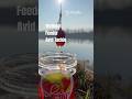 Method feeder AVIDCARP Tackle #fishhobo #avidcarp #method