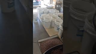 POV: Working  Long Shifts as a Coffee Roaster #shorts  #coffeelovers #coffee #coffeelatteart