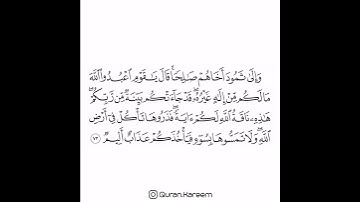 القارئ ماهر المعيقلي - سورة الأعراف - 73