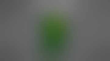 The Game NO ONE Can Beat - Battletoads (NES)