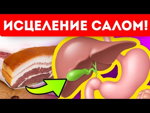 Вот что сотворит сало, если есть его каждый день