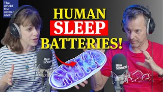 How Mitochondria Are Linked To Sleep And Ozzy Osbourne