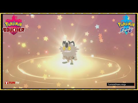 Pokémon Sword/Shield: Galarian Meowth with its Hidden Ability Unnerve, + 100 Exp L & 50 Big Nuggets.