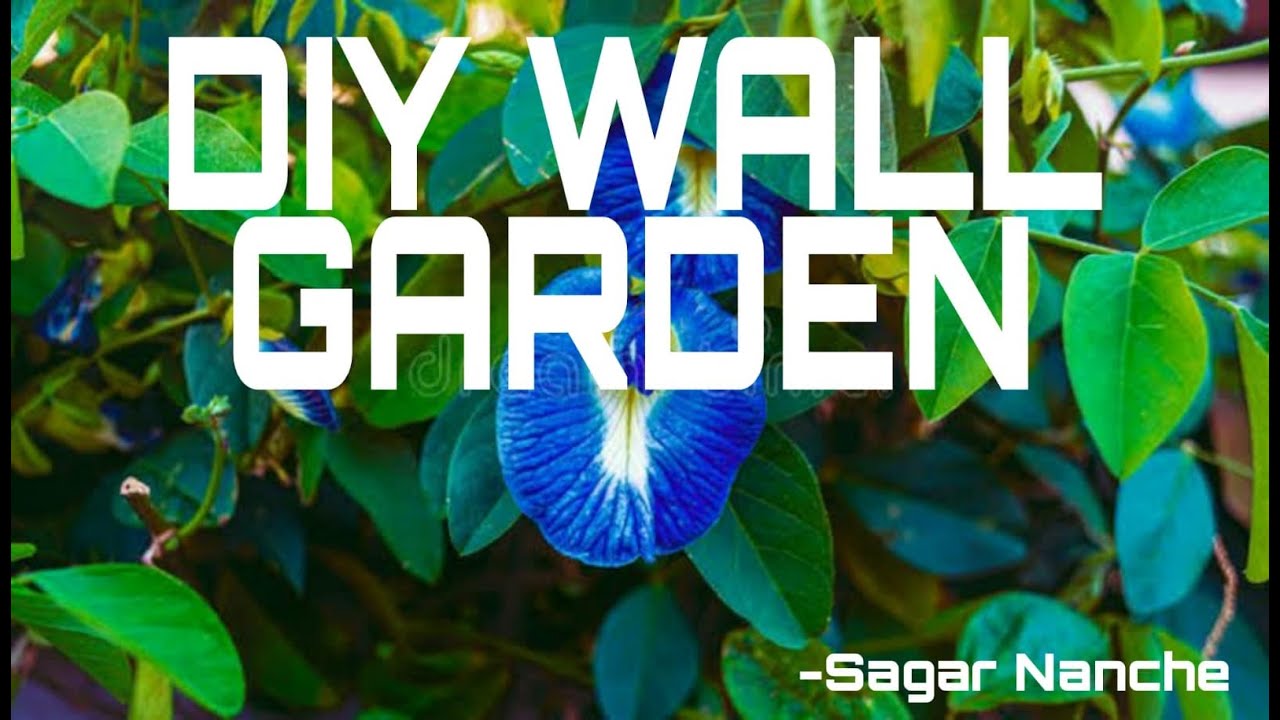 DIY WALL GARDEN...! (in Marathi..) kankavali YouTube