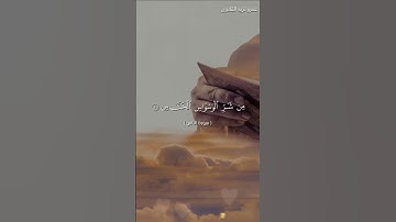 سورة:الناس للقارئ/ عمرو نزيه القلاوى