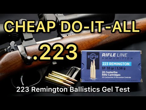 BEST CHEAP .223?! 223 Remington Prvi Partizan PPU 55gr SP Ammo Test