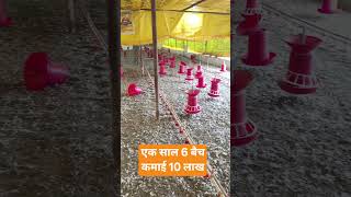 #poultry #top #top #farm #farm #poultryfarm #poultryfarm #low #low #agriculture #agriculture #topmof