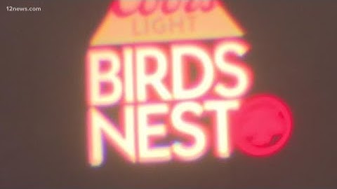 2019 Birds Nest concert lineup announced