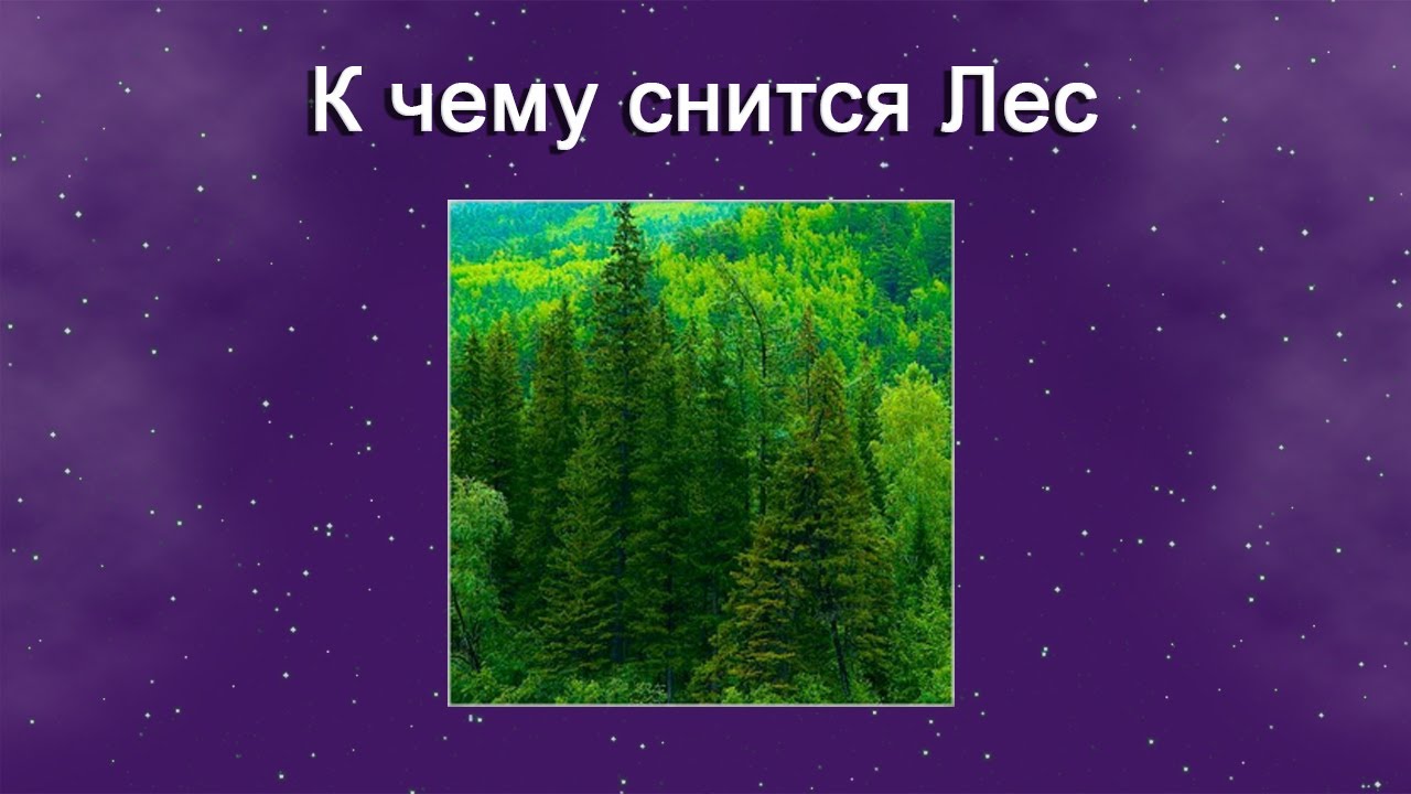 К чему снится Лес – толкование сна по Соннику