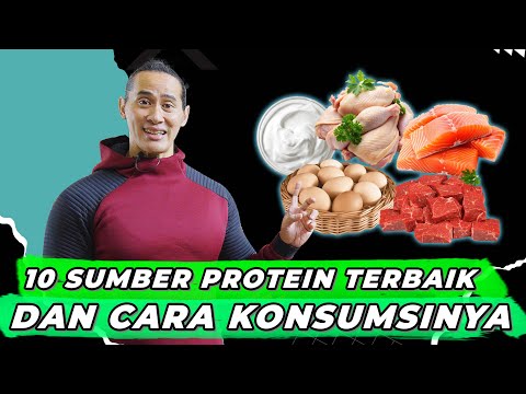 10 PROTEIN ALAMI