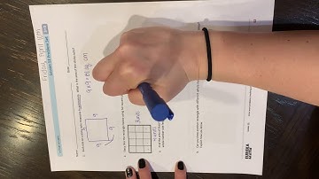 3rd Grade Module 4- Lesson 12