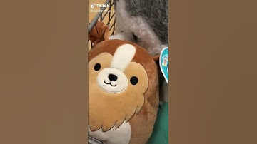 Another squish hunting FAIL!!