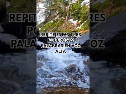 Repite estas tres