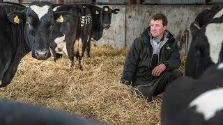 Nestlé Dairy Leaders Program | Nestlé UK