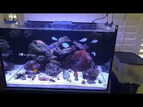 All in one saltwater aquarium kit cheap
