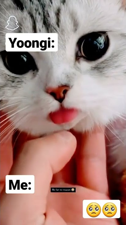 Lil meow meow 💜 #shorts #bts #army #suga