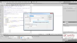 Adding Check Boxes And Radio Buttons