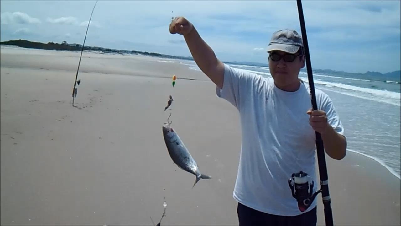 NZ Fishing | Surfcasting | Kahawai - YouTube