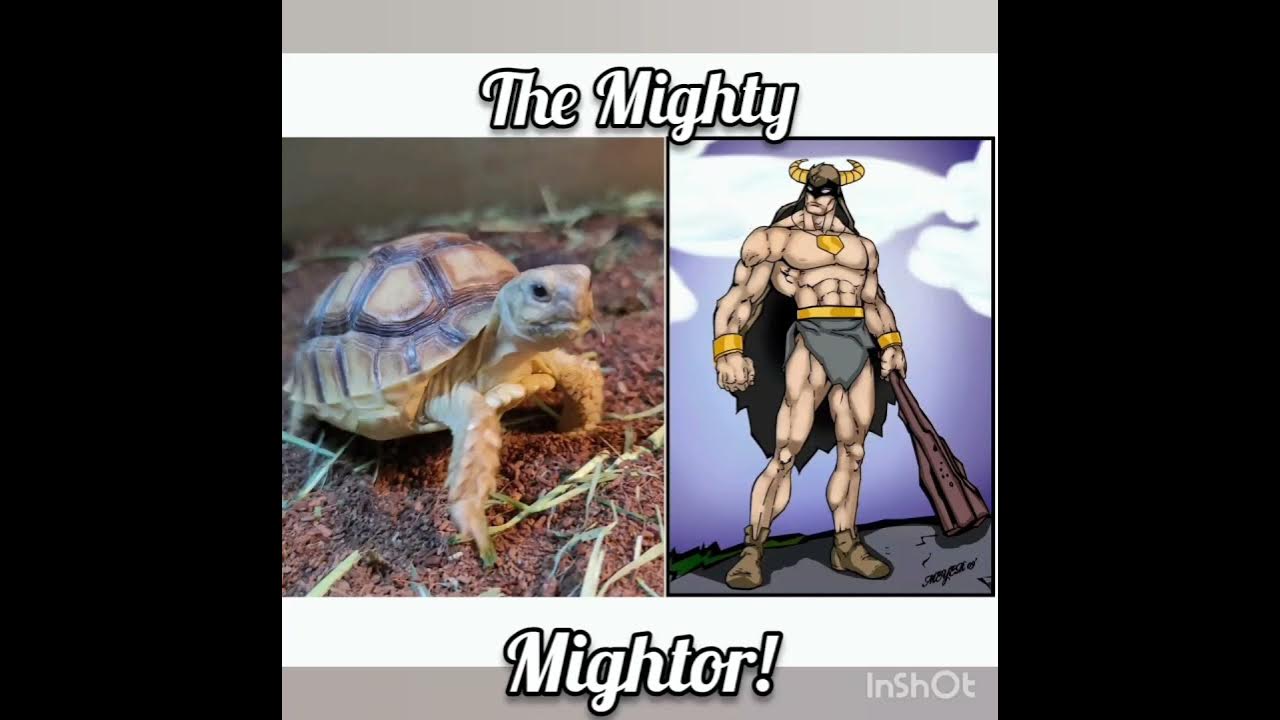 8. The Mighty Mightor - wide 9