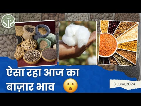 जानिए कैसा रहा 13 जून 2024 का बाजार🤔 All India commodity market rate today🤔#kapas #grains #soya