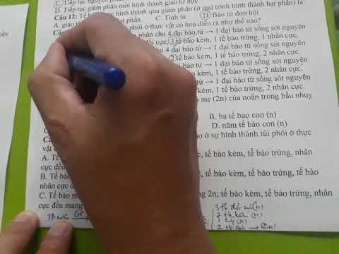 Video Giải trắc nghiệm Bài 44 Sinh 11 - YouTube
