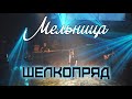 Группа «Мельница» - Шелкопряд | Живой концерт в Дубне с юбилейной программой «Мельница 2.0» 4k