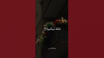 القارئ : عبدالسلام العبيدي