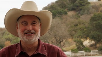 Jay Silverman, Jeff Simpson, and Peter Coyote Interviews