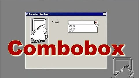 Setting up Combobox on an Access Form in Design View ~ DataPig