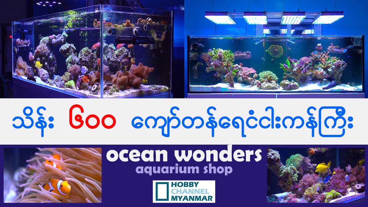 သိန်း ၆၀၀ တန်ရေငံငါးကန်ကြီး Aquarium