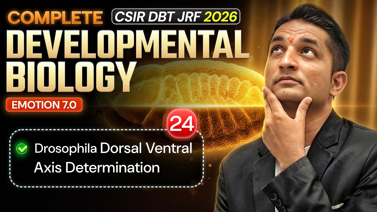 Drosophila Dorsal Ventral Axis | Developmental Biology | CSIR DBT JRF ...