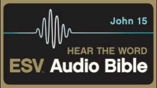 ESV Audio Bible, Gospel of John, Chapter 15