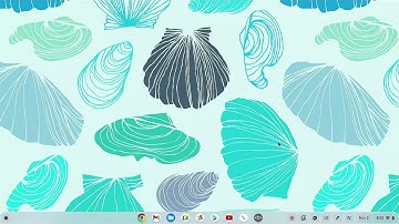 Chromebook  : How to get rid of the updates available pop-up notification from Google Play Store app