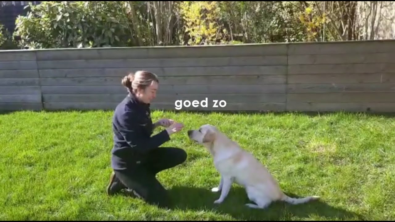 Гайд спойлер high five