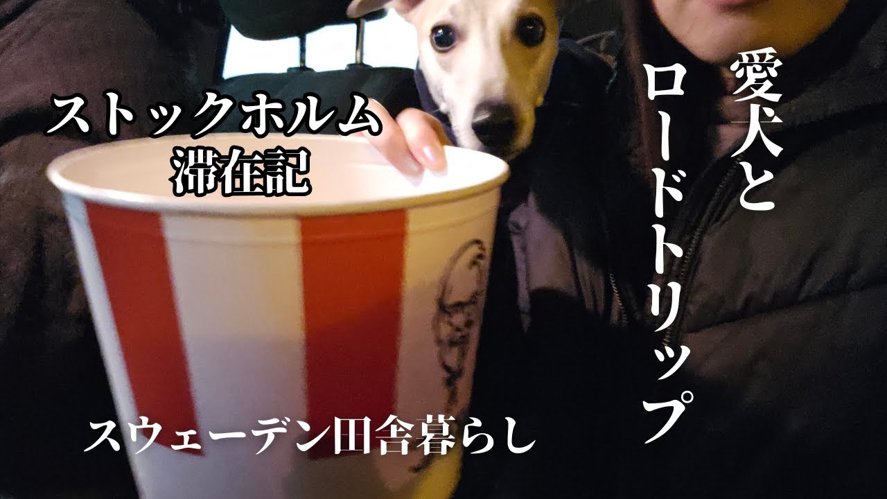 寄り道から始まり寄り道で終わる旅 | 愛犬とストックホルムへロードトリップ。