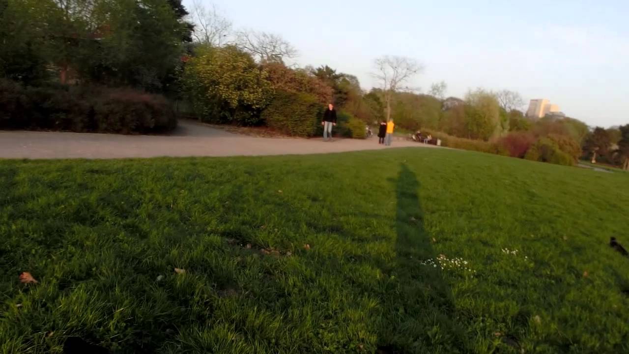 Krähenabend /  Crow evening