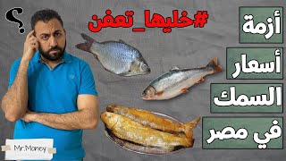 هو ايه اللي بيحصل في أسعار السمك في مصر .