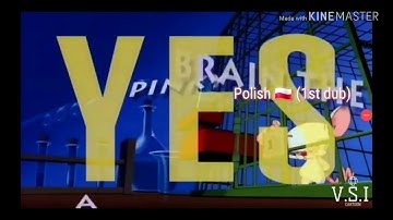 Pinky and the Brain Multilanguage