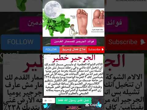 فوائد الجرجير معلومات طبية    