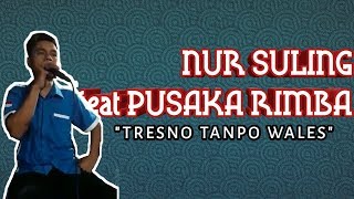 Nur suling feat PUSAKA RIMBA - TRESNO TANPO WALES