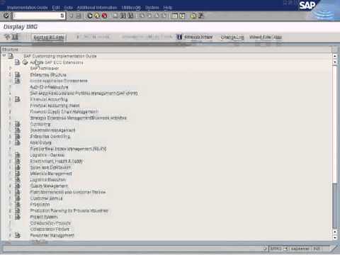 SAP One Time Vendor