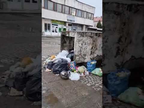 Сміття в центрі Ужгорода