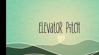ENT 500 Elevator pitch group7