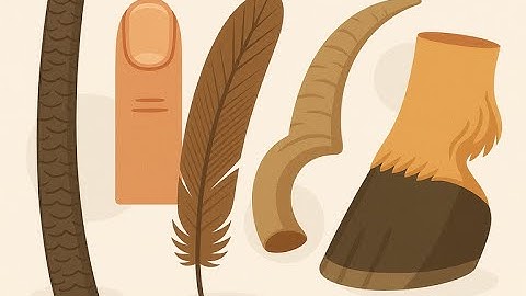 Season 233   Day 7 of 14