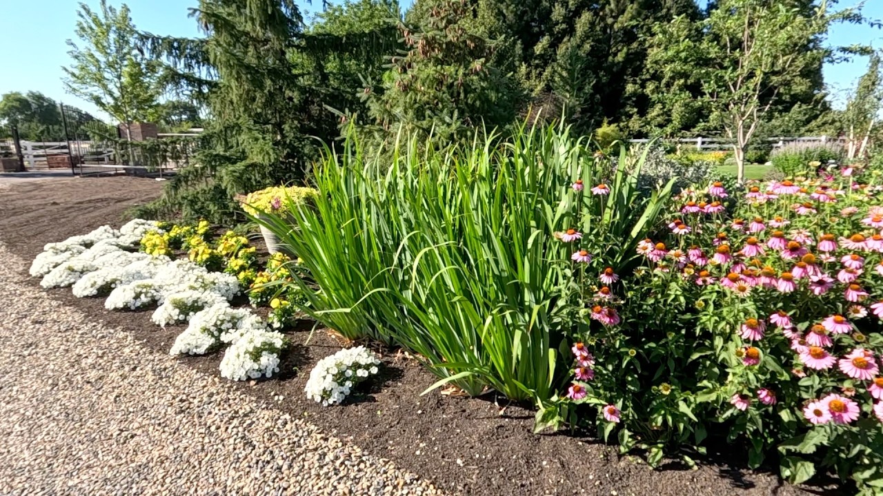 Planting 5 Varieties of Perennial for Full Sun!  // Garden Answer