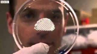 BBC News   Researchers try to develop 3D printing of body parts